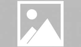 91茅台直播间,揭秘高端白酒的魅力与市场动态